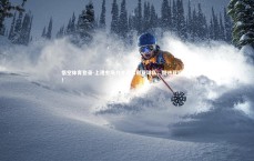 悟空体育登录-上港主场力克澳大利亚球队，挺进亚冠四强！