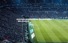 悟空体育登录-朗斯客场击败摩纳哥，继续稳坐积分榜首位，朗斯vs摩纳哥比分