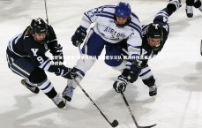 悟空体育登录-斯洛伐克队力克爱尔兰队 欧洲杯预选赛关键战告捷