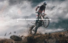 悟空体育登录-欧国联精英尽显锋芒 国际赛场续写华彩篇章