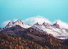 悟空体育登录-狼队士气高涨,将应战濒临降级的狼队,狼队qg