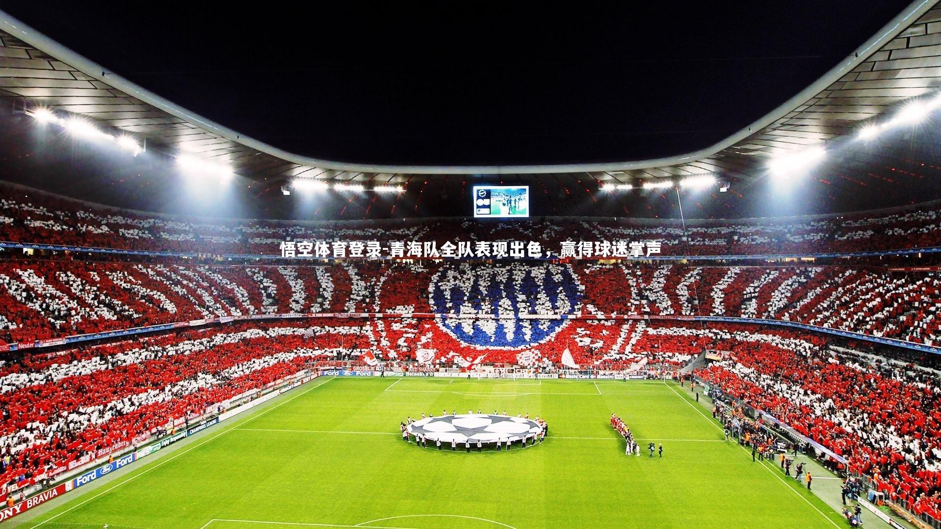青海队全队表现出色,赢得球迷掌声
