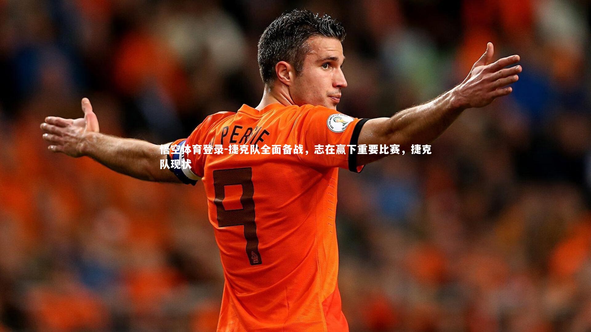 捷克队全面备战,志在赢下重要比赛,捷克队现状