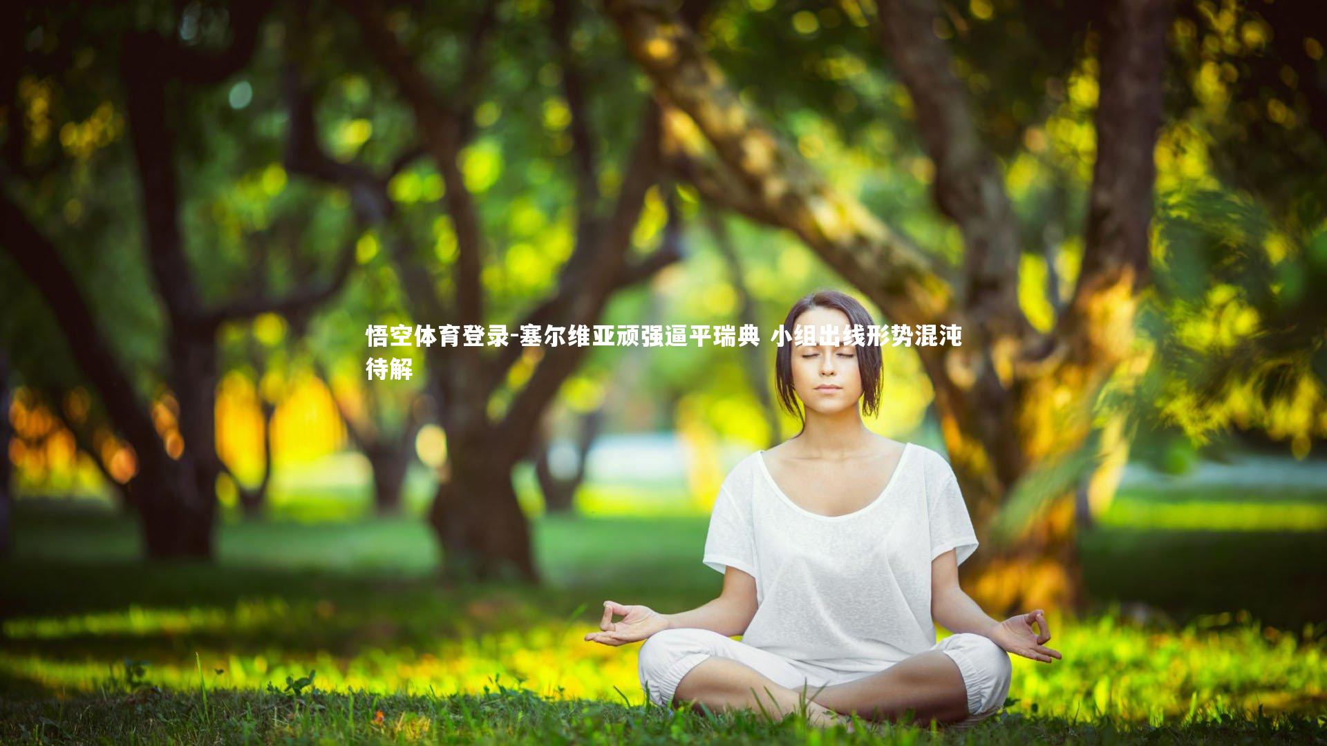 塞尔维亚顽强逼平瑞典 小组出线形势混沌待解