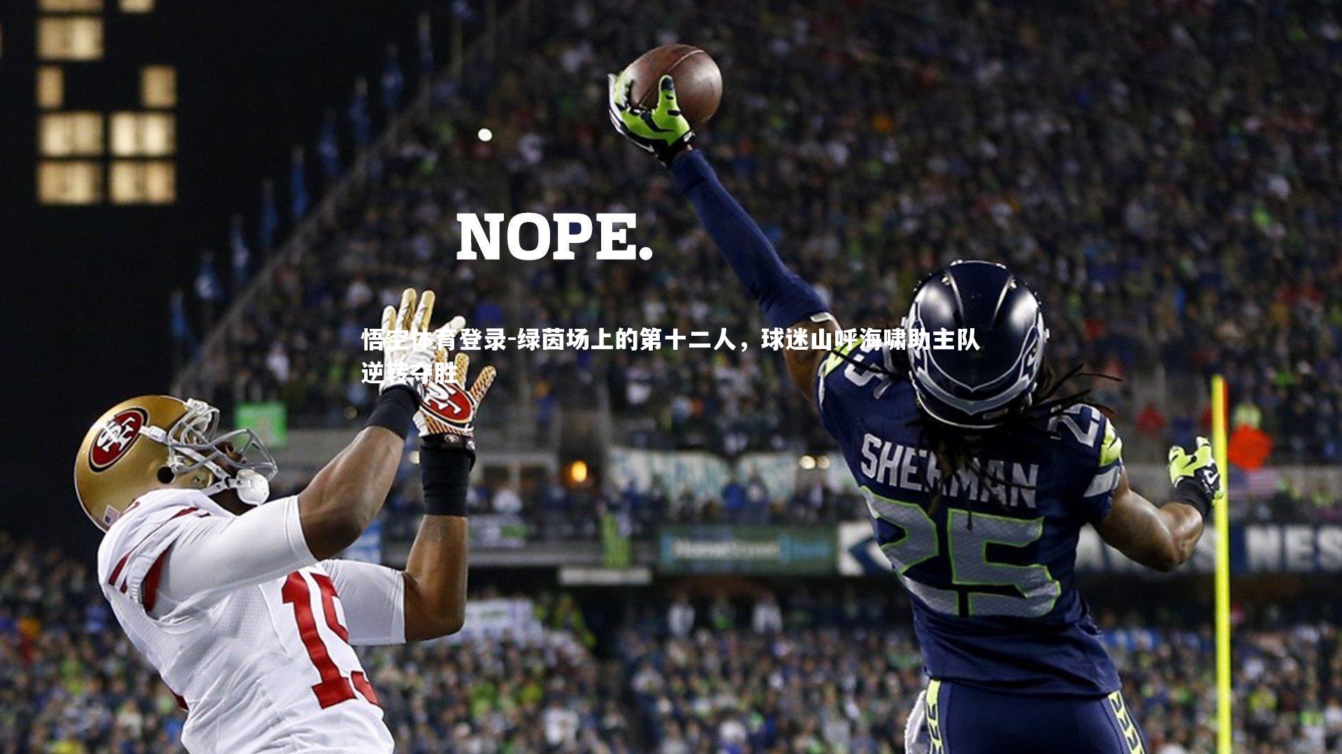 绿茵场上的第十二人,球迷山呼海啸助主队逆转夺胜