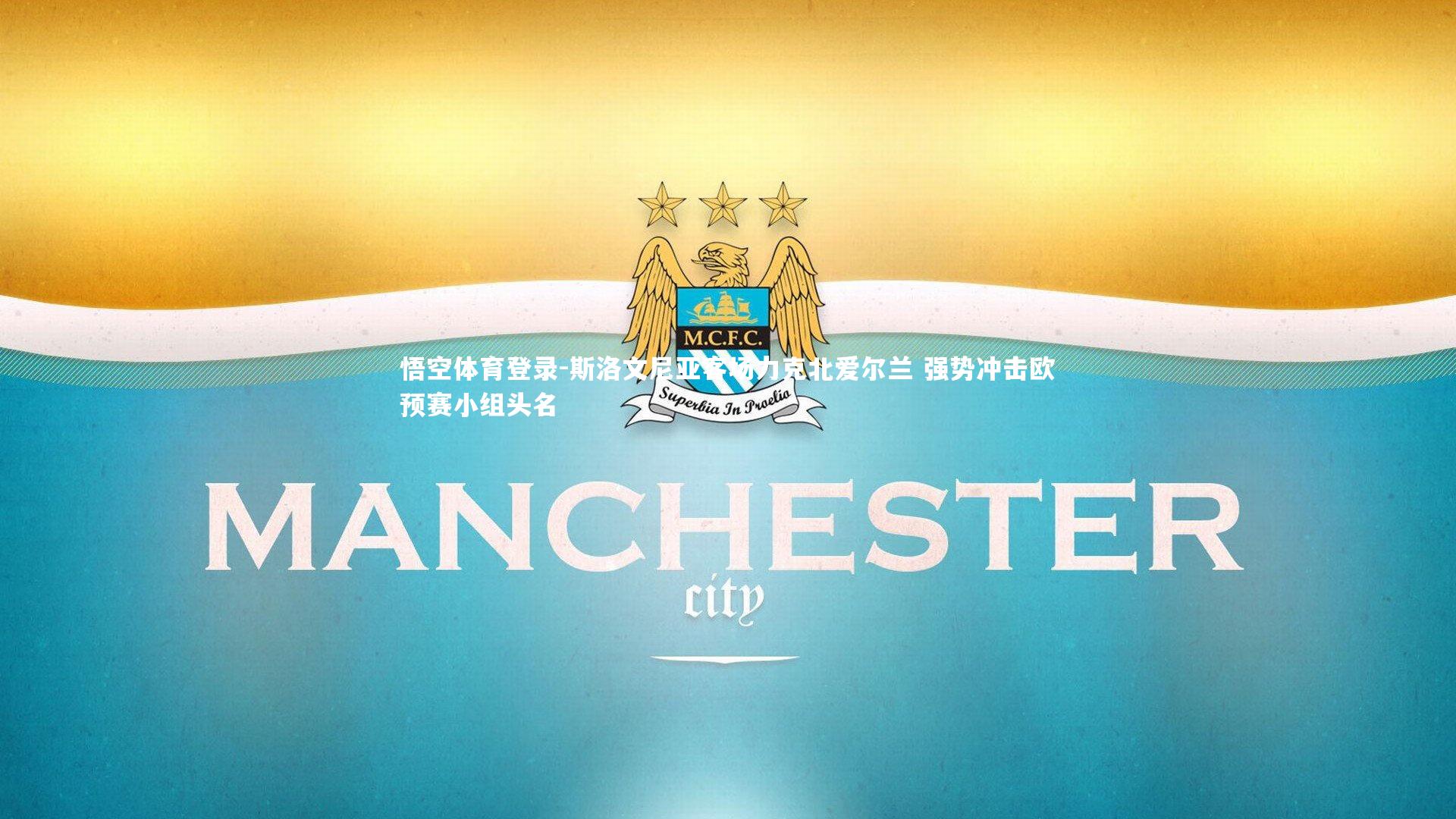 斯洛文尼亚客场力克北爱尔兰 强势冲击欧预赛小组头名