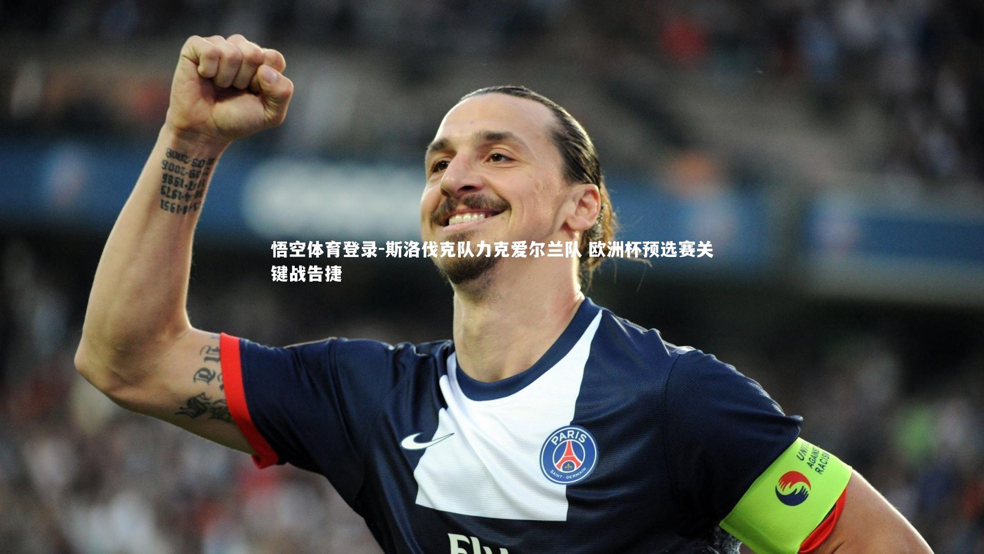 斯洛伐克队力克爱尔兰队 欧洲杯预选赛关键战告捷